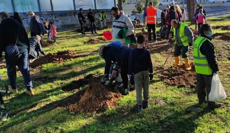 Σύλλογος Ρεματιάς Χαλανδρίου: Δράση δενδροφύτευσης στο πάρκο Φραγκοκκλησιάς