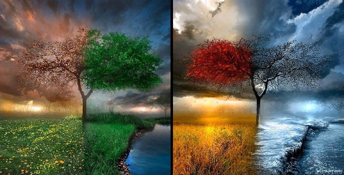 seasons collage