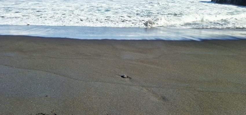 Εκπαιδευτικοί του 12ου Νηπιαγωγείου Χαλανδρίου στην Τενερίφη για καινοτόμες πρακτικές μάθησης