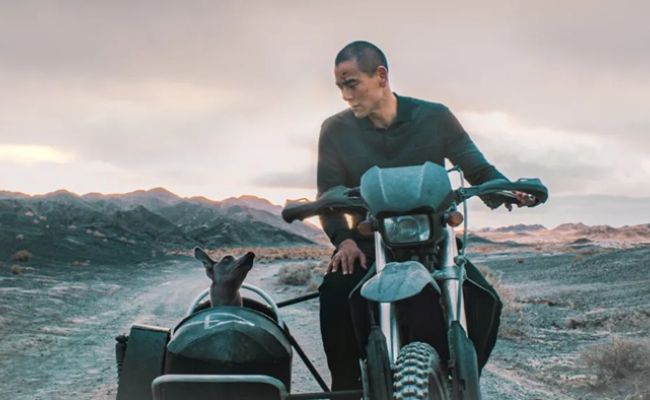 Cine ΑΡΓΩ: Προβολή της ταινίας “Black dog”, στο Κέντρο Νεότητας Χαλανδρίου