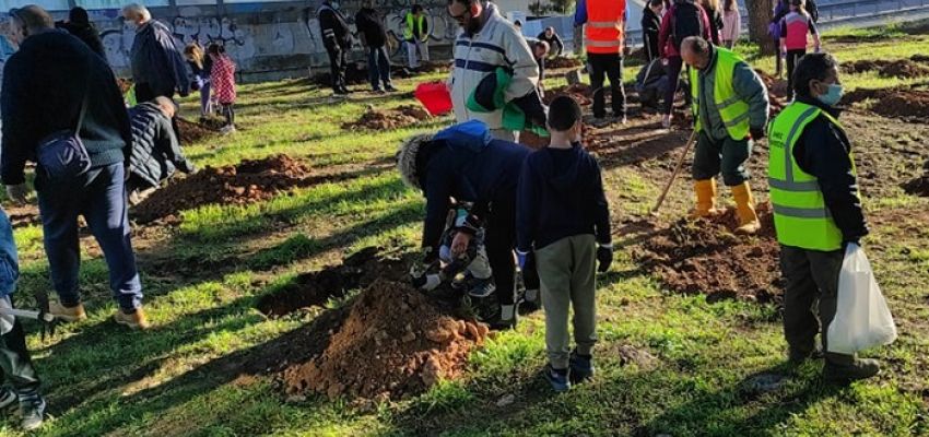 Σύλλογος Ρεματιάς Χαλανδρίου: Δράση δενδροφύτευσης στο πάρκο Φραγκοκκλησιάς