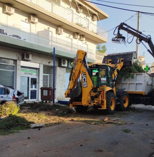 Δήμος Χαλανδρίου: Ολοκληρώθηκε η απομάκρυνση δέντρου που έπεσε από τους δυνατούς ανέμους