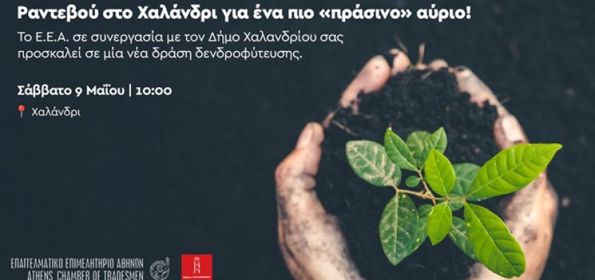 Δήμος Χαλανδρίου & ΕΕΑ ενώνουν δυνάμεις για δενδροφύτευση στο Πάτημα