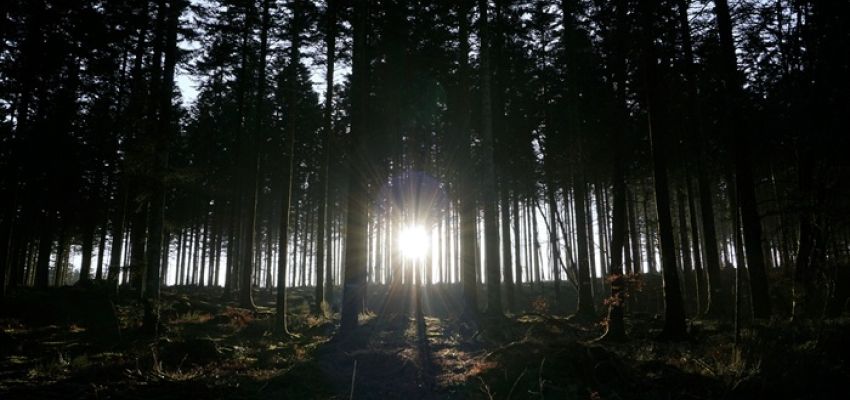 “Exodus”: Ομαδική Διακαλλιτεχνική Έκθεση, στο Κέντρο Νεότητας Χαλανδρίου