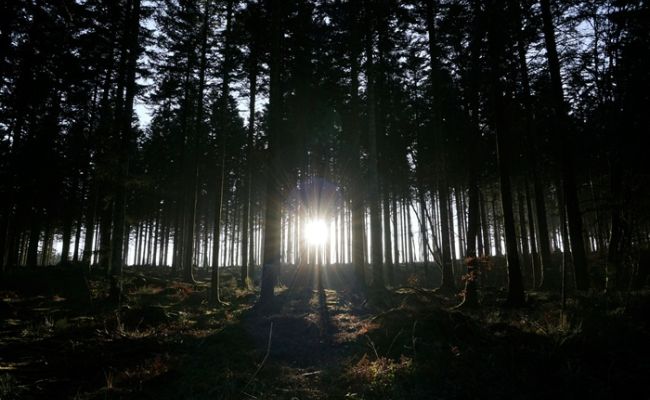 “Exodus”: Ομαδική Διακαλλιτεχνική Έκθεση, στο Κέντρο Νεότητας Χαλανδρίου