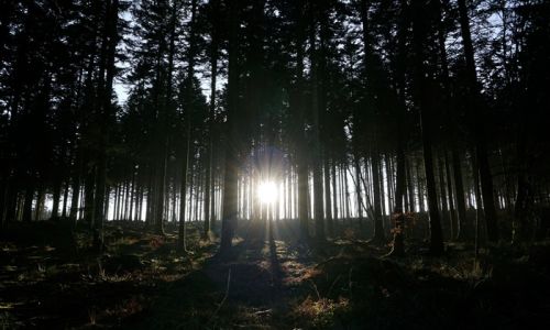 “Exodus”: Ομαδική Διακαλλιτεχνική Έκθεση, στο Κέντρο Νεότητας Χαλανδρίου