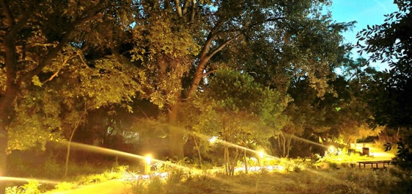 Στη διάθεση των κατοίκων η Παραρεμάτια Διαδρομή – Μια ακόμα ανάπλαση από τον Δήμο Χαλανδρίου