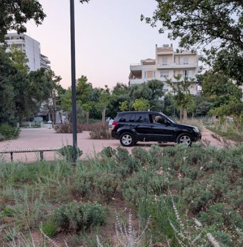 Οδηγός στάθμευσε το αυτοκίνητό του μέσα σε πάρκο στο Κάτω Χαλάνδρι