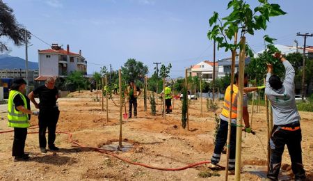 Δήμος Χαλανδρίου και Επαγγελματικό Επιμελητήριο ένωσαν δυνάμεις για να “πρασινίσει” περιοχή στο Πάτημα