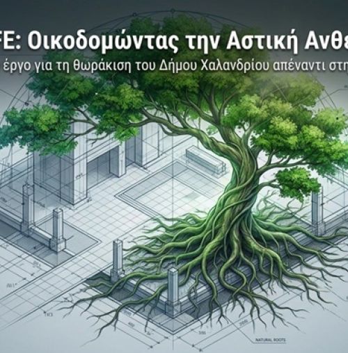 THRIVE4LIFE: Πρόταση του Δήμου Χαλανδρίου σε πρόγραμμα για δημιουργία ανθεκτικών οικοσυστημάτων δέντρων